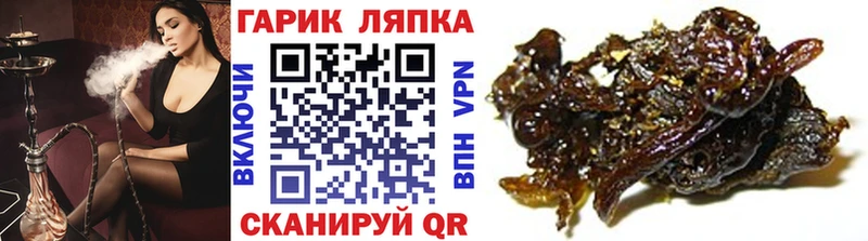 ГАШ Premium  Дегтярск 