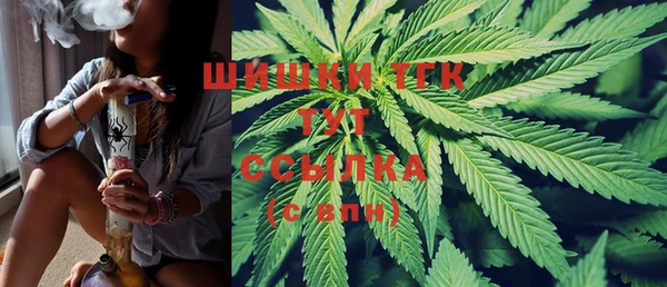 крисы Верея